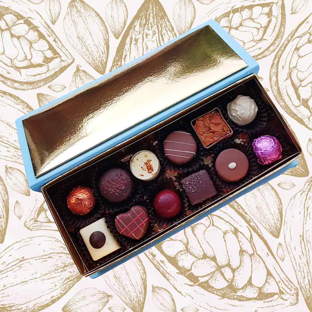 inside view of a Danieli chocolate gift box with 12 chocolates with a brown ribbon on a cacao background