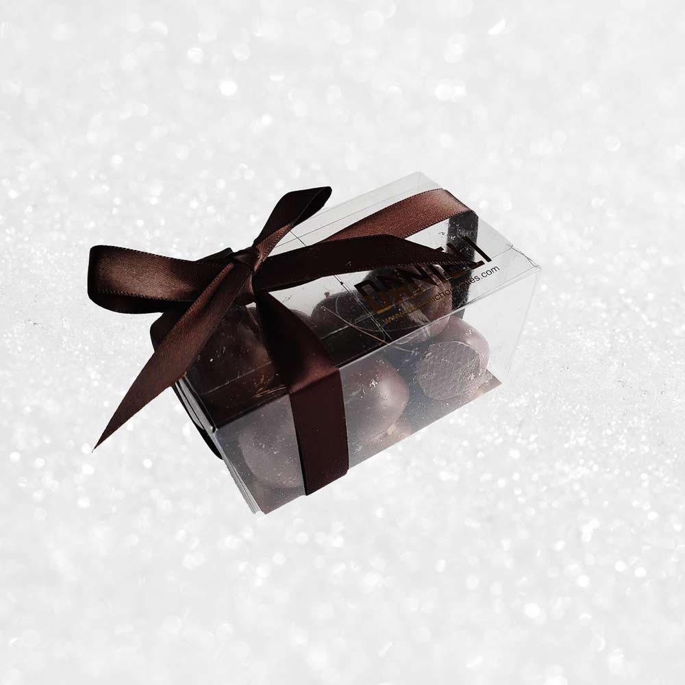 side view of a gift box of Danieli dark chocolate gingers on a snowy background