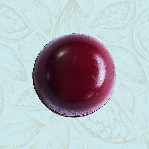 Danieli individual chocolates dark chocolate cherry ganache on a blue and brown cacao pod background