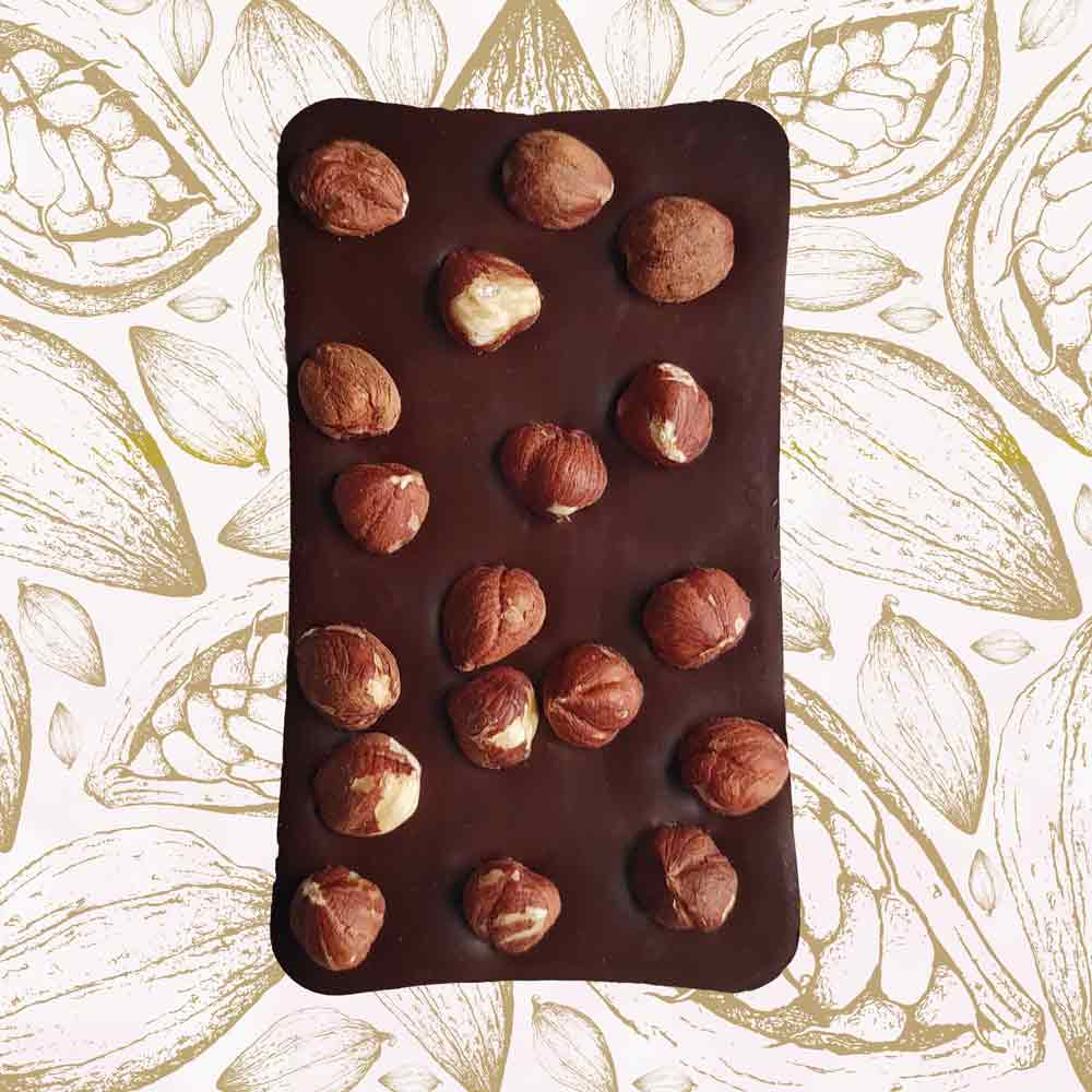 whole bar of Danieli dark chocolate hazelnut bar on a cacao background