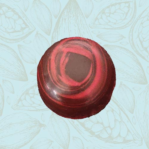 Danieli individual chocolates dark chocolate cherry signature on a blue and brown cacao pod background