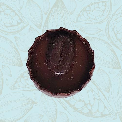 Danieli individual chocolates dark chocolate coffee praline on a blue and brown cacao pod background