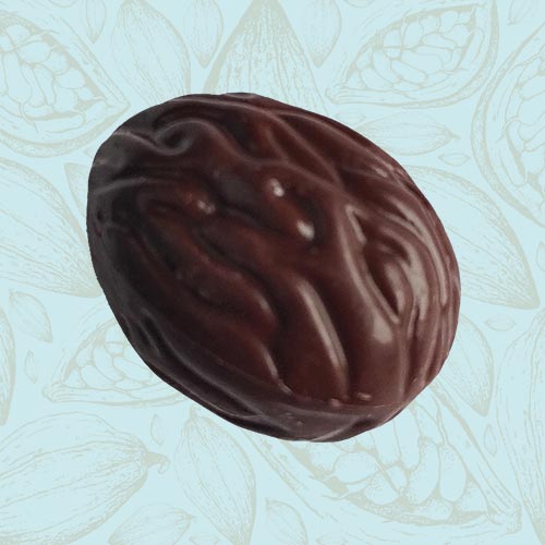 Danieli individual chocolates dark chocolate crunchy almond praline on a blue and brown cacao pod background