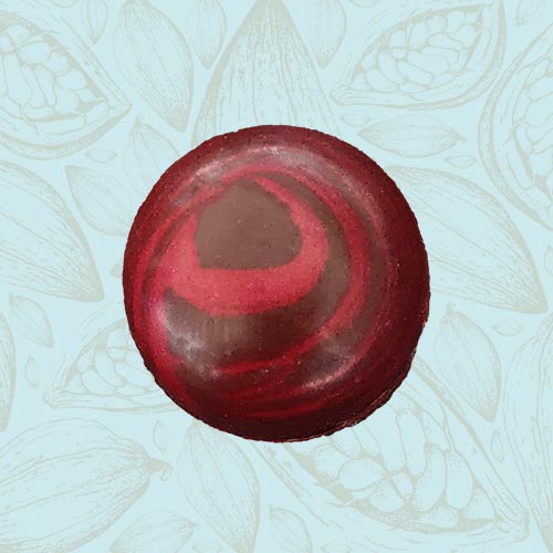 Danieli individual chocolates dark chocolate fig signature on a blue and brown cacao pod background