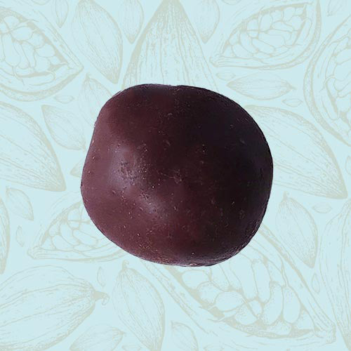 Danieli individual chocolates dark chocolate stem ginger on a blue and brown cacao pod background