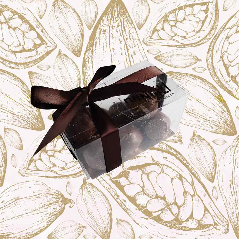 side view of a gift box of Danieli dark chocolate gingers on a cacao pod background