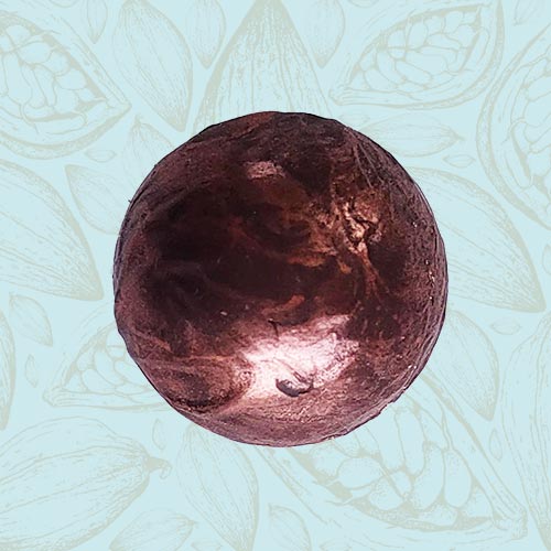 Danieli individual chocolates dark chocolate grand marnier truffle on a blue and brown cacao pod background