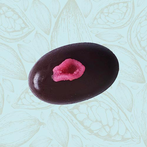 Danieli individual chocolates dark chocolate rose cream on a blue and brown cacao pod background