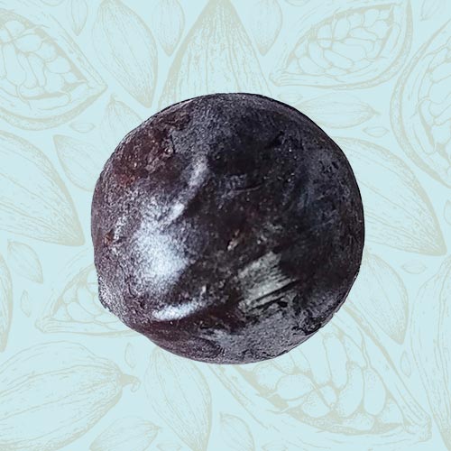 Danieli individual chocolates dark chocolate rum truffle on a blue and brown cacao pod background