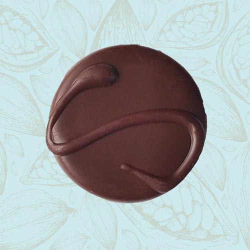 Danieli individual chocolates dark chocolate tiramisu on a blue and brown cacao pod background