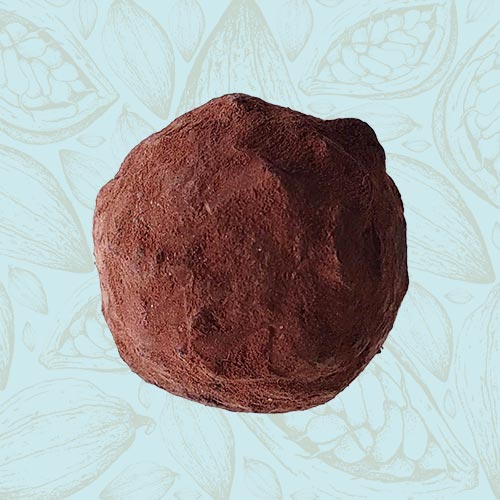 Danieli individual chocolates dark chocolate truffle on a blue and brown cacao pod background