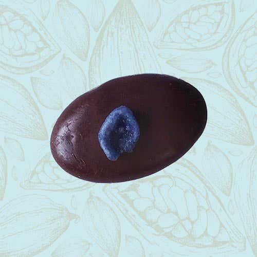 Danieli individual chocolates dark chocolate violet cream on a blue and brown cacao pod background