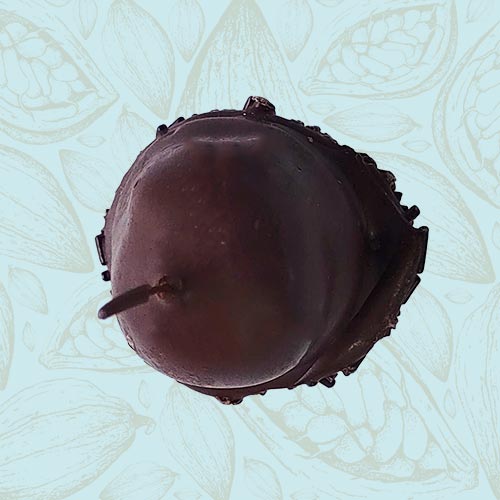 Danieli individual chocolates dark chocolate cherry on a blue and brown cacao pod background