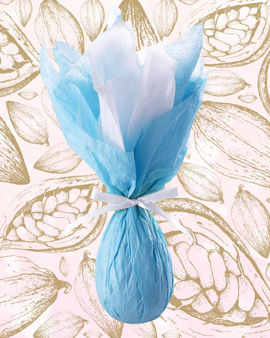 MEDIUM MILK CHOCOLATE EASTER EGG