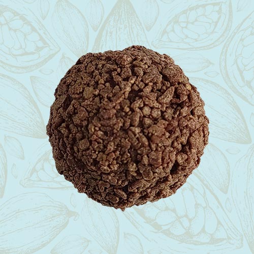 Danieli individual chocolates milk chocolate champagne truffle on a blue and brown cacao pod background