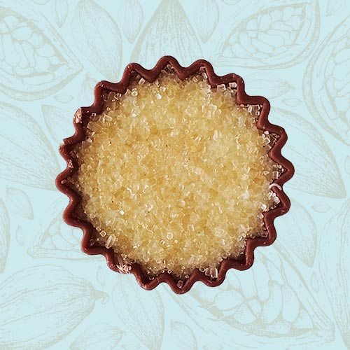 Danieli individual chocolates milk chocolate creme brulee on a blue and brown cacao pod background