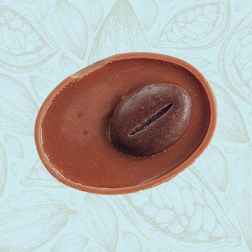 Danieli individual chocolates milk chocolate espresso cream on a blue and brown cacao pod background