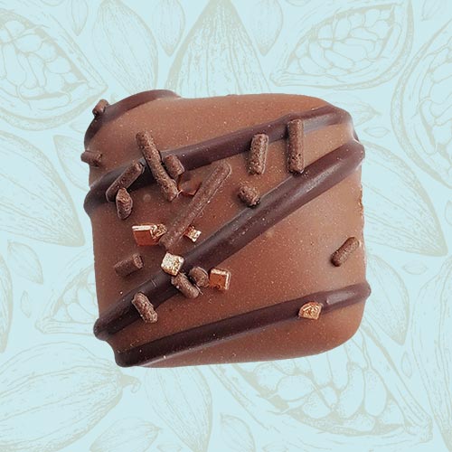 Danieli individual chocolates milk chocolate fudge on a blue and brown cacao pod background
