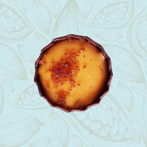 Danieli individual chocolates milk chocolate mango cup on a blue and brown cacao pod background