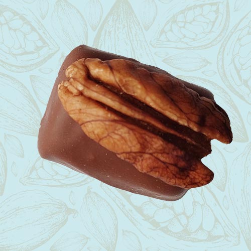 Danieli individual chocolates milk chocolate pecan and maple on a blue and brown cacao pod background
