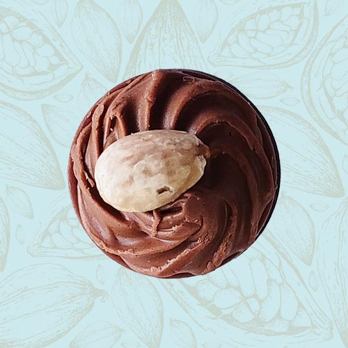 Danieli individual chocolates milk chocolate praline on a blue and brown cacao pod background