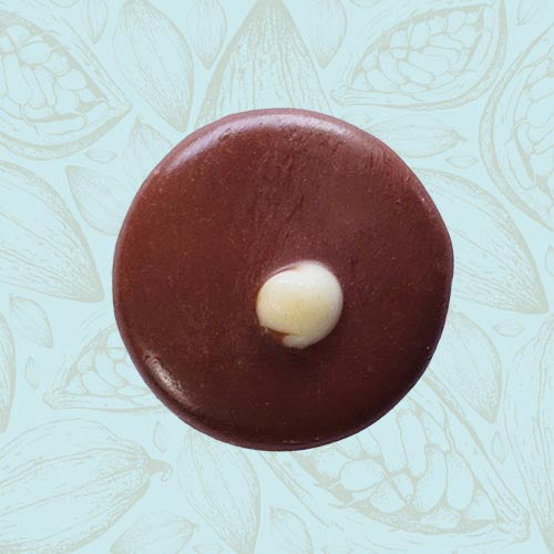 Danieli individual chocolates milk chocolate salted caramel on a blue and brown cacao pod background