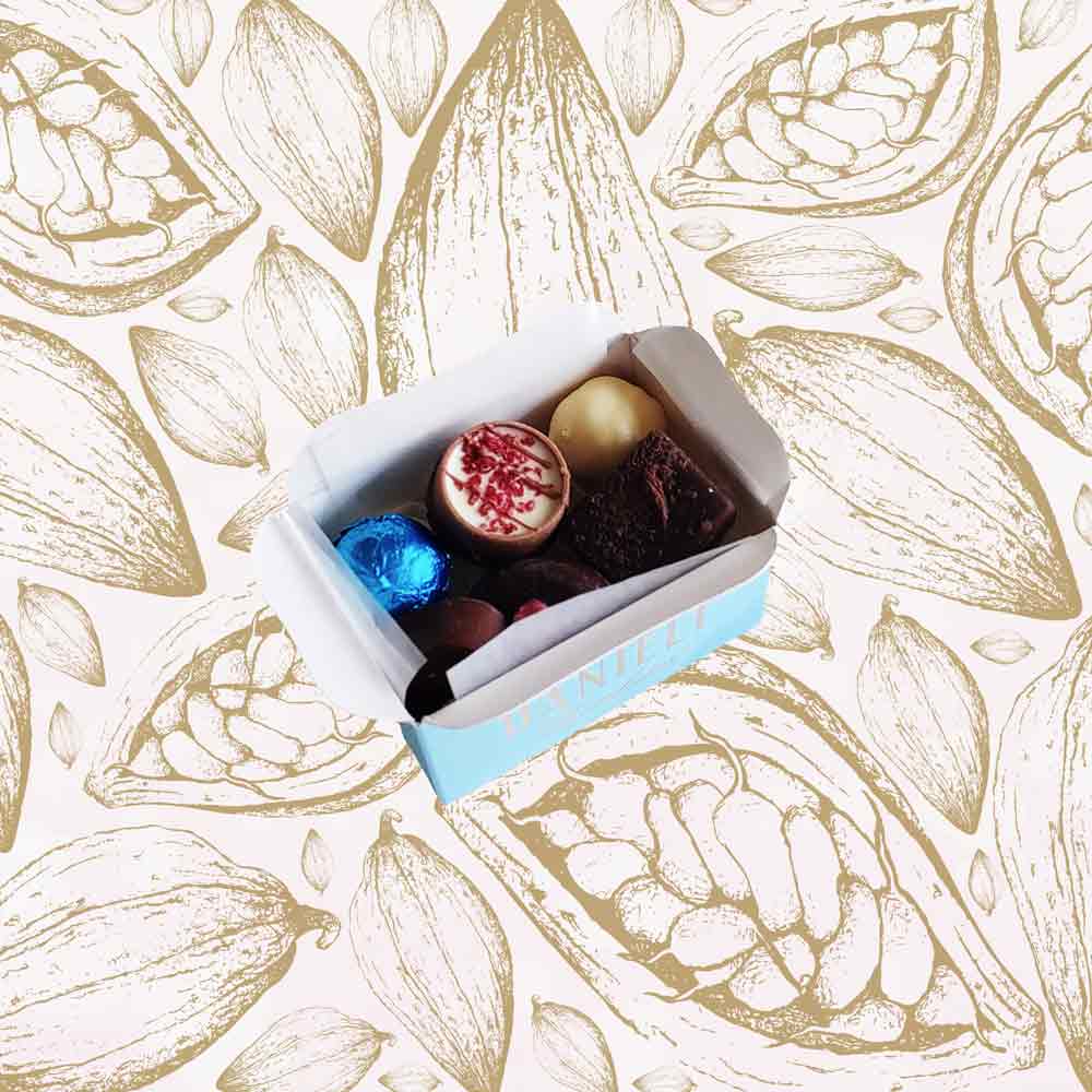 inside view of a Danieli chocolate gift box mini ballotin on a cacao pod background
