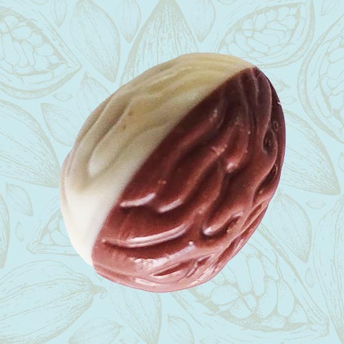 Danieli individual chocolate white and milk crunchy praline on a blue and brown cacao pod background