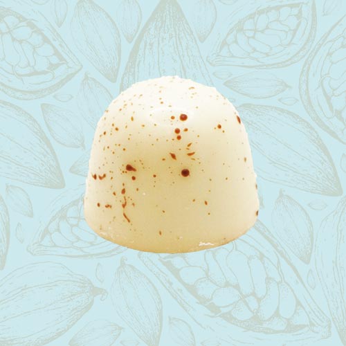 Danieli individual chocolate white chocolate hazelnut praline on a blue and brown cacao pod background