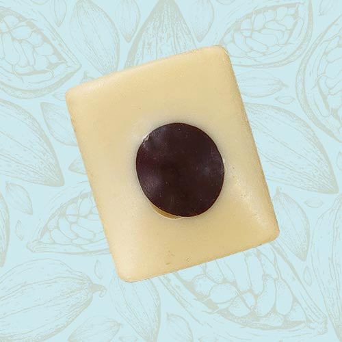 Danieli individual chocolates white chocolate mousse on a blue and brown cacao pod background